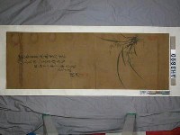 藏品(漢卿墨蘭)的圖片